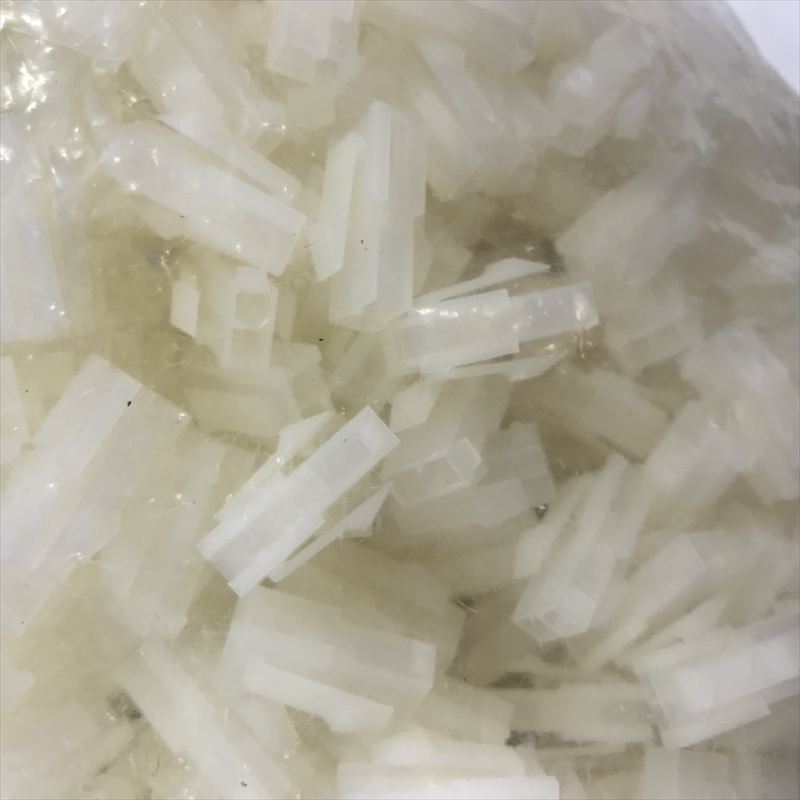 5559-02P,コネクタ/ハウジング,モレックス(MOLEX),500個 - 1