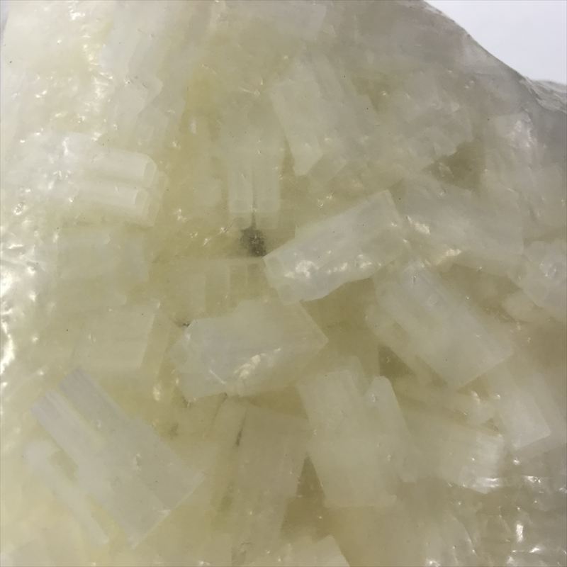 5557-04R,コネクタ/ハウジング,モレックス(MOLEX),300個 - 1